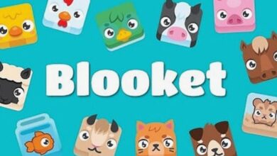 What Is Blooket?
